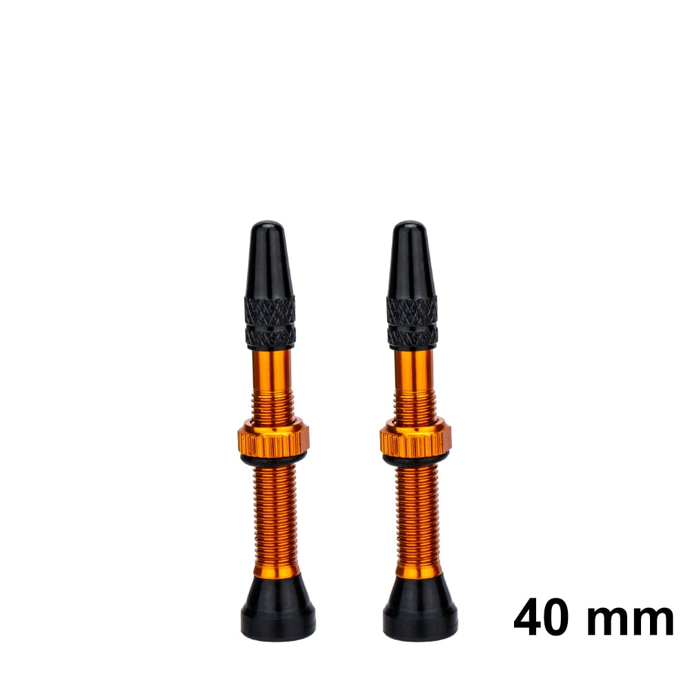 ZTTO Bicycle Tubeless Valves Stems 60mm Presta 40mm No Tubes FV With Integrated Valve Core for Road bike MTB Tire