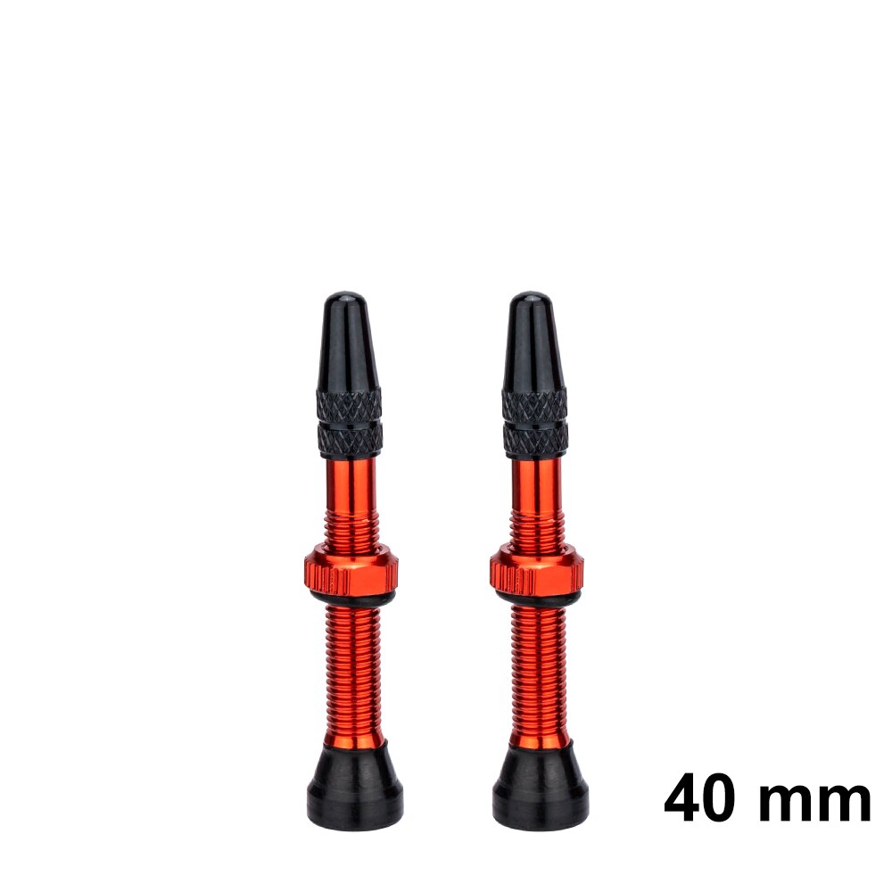ZTTO Bicycle Tubeless Valves Stems 60mm Presta 40mm No Tubes FV With Integrated Valve Core for Road bike MTB Tire